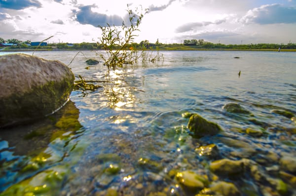 Johnson Park by null