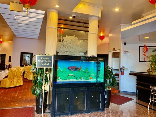 The Palace Seafood & Dim Sum by null