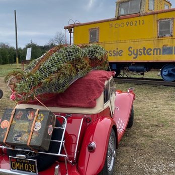 Mr Tree Farm - Christmas Trees Near Me - Blacklick, Ohio