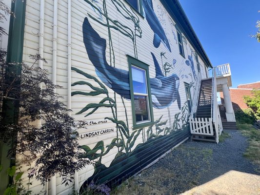 The Whale Museum by null