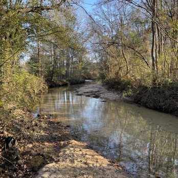 Bethel Forest Park - Creek - Parks Near Me - Saraland, Alabama Bethel Forest Park - Creek - Parks Near Me - Saraland, Alabama