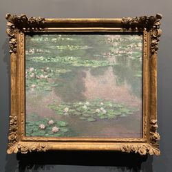 Museum of Fine Arts - Gardens exhibit