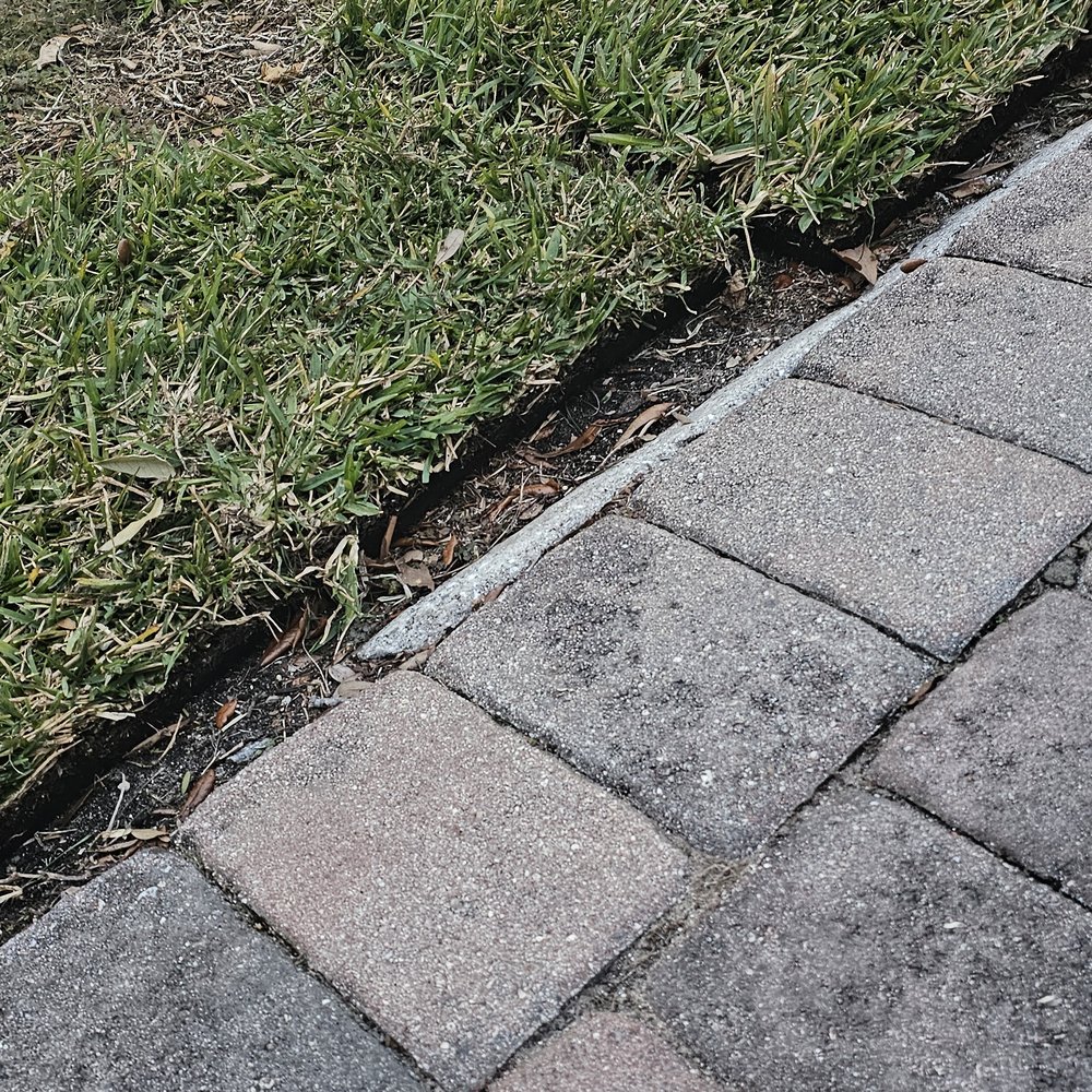 Consolidated Pest Control - Pest Control Near Me - Plant City, Florida Consolidated Pest Control - Pest Control Near Me - Plant City, Florida