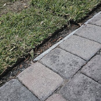 Consolidated Pest Control - Pest Control Near Me - Plant City, Florida Consolidated Pest Control - Pest Control Near Me - Plant City, Florida