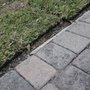 Photo of Consolidated Pest Control