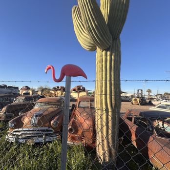 Desert Valley Auto Parts - Pink flamingo - Auto Parts & Supplies Near Me - Casa Grande, Arizona Desert Valley Auto Parts - Pink flamingo - Auto Parts & Supplies Near Me - Casa Grande, Arizona