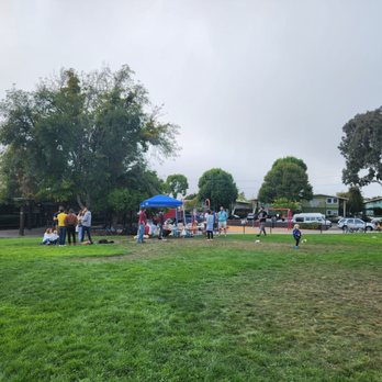Cedar Rose Park - beautiful green space - Parks Near Me - Berkeley, California