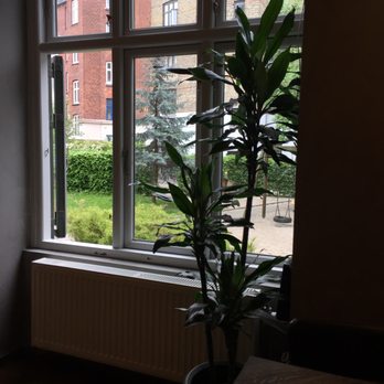 Ema Coffee - Upstairs view of park behind with open window - perfection - Cafes Near Me - Copenhagen, 84 Ema Coffee - Upstairs view of park behind with open window - perfection - Cafes Near Me - Copenhagen, 84