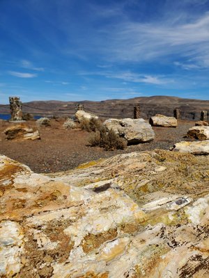 Wanapum Recreation Area by null