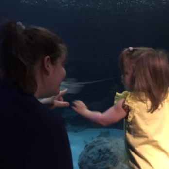 Indianapolis Zoo - Shark exhibit - Zoos Near Me - Indianapolis, Indiana Indianapolis Zoo - Shark exhibit - Zoos Near Me - Indianapolis, Indiana
