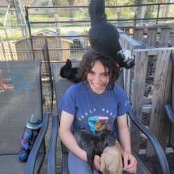 Jostens Petting Zoo - Having fun with the animals!