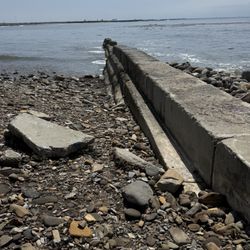Point Fermin Marine Life Refuge