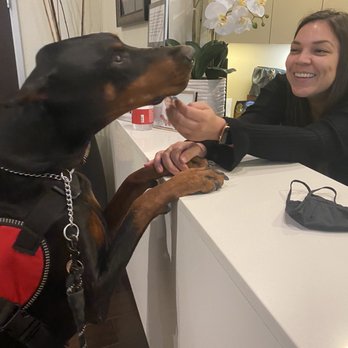 Smilebody - Kaya having a nice chat with the girls at the front desk - General Dentistry Near Me - Santa Clarita, California Smilebody - Kaya having a nice chat with the girls at the front desk - General Dentistry Near Me - Santa Clarita, California