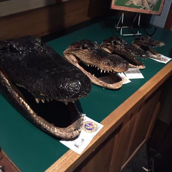 Prejean's - Real alligator heads! - Cajun/Creole Near Me - Lafayette, Louisiana Prejean's - Real alligator heads! - Cajun/Creole Near Me - Lafayette, Louisiana