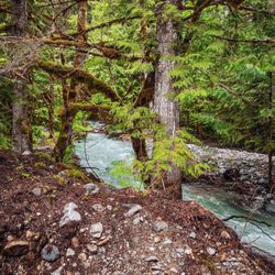 Colonial Creek Campground