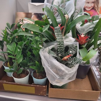 CVS PHARMACY - Updated January 2025 - 84 Photos & 24 Reviews - 2300 N