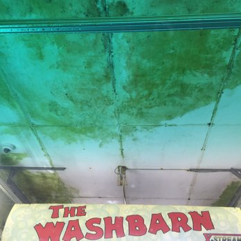 The Wash Barn - Moldy ceilings and walls!!!!!! - Auto Detailing Near Me - Bismarck, North Dakota The Wash Barn - Moldy ceilings and walls!!!!!! - Auto Detailing Near Me - Bismarck, North Dakota