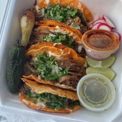Taqueria El Tio - Birria tacos
