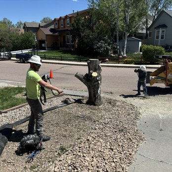 King Tree Service - Almost done - Tree Services Near Me - Colorado Springs, Colorado King Tree Service - Almost done - Tree Services Near Me - Colorado Springs, Colorado