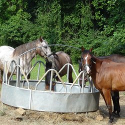 Hilltop Ranch