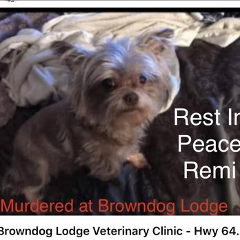 BrownDog Lodge Veterinary Clinic - Veterinarians Near Me - Arlington, Tennessee BrownDog Lodge Veterinary Clinic - Veterinarians Near Me - Arlington, Tennessee