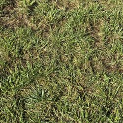 MorningStar Sod & Supply