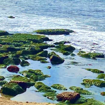 La Jolla Cove - La Jolla Cove at low tide. Seaweed covered rocks - Parks Near Me - La Jolla, California La Jolla Cove - La Jolla Cove at low tide. Seaweed covered rocks - Parks Near Me - La Jolla, California