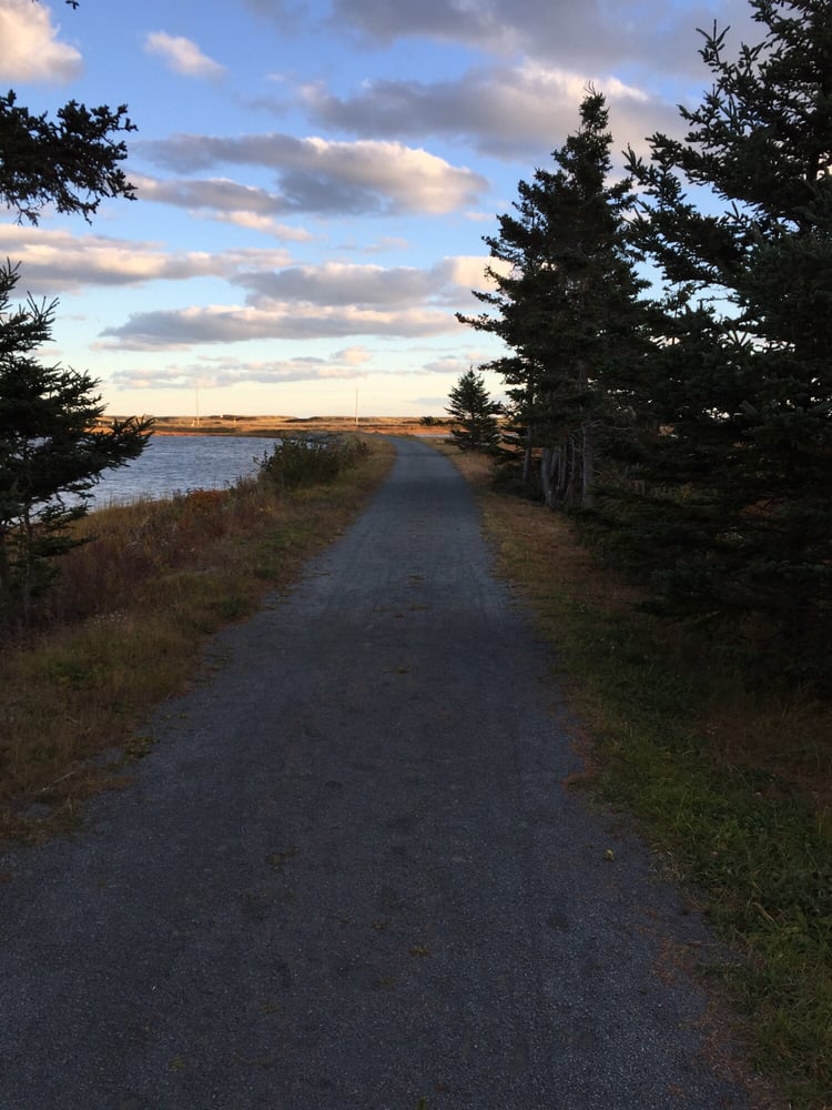 Salt Marsh Trail