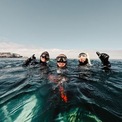 Odyssey Freediving