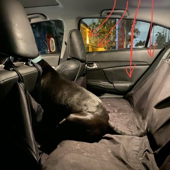 Auto Pro Detailing - Before picture: You can see scratches and dog slobber on the back of the seat, the back of the headrest, door, and on the seat. - Auto Detailing Near Me - Fremont, California
