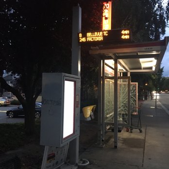RapidRide B Line - Bus Stop - Public Transportation Near Me - Bellevue, Washington
