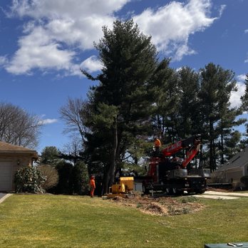 Ed's Tree Service - Tree Services Near Me - Hampden, Massachusetts Ed's Tree Service - Tree Services Near Me - Hampden, Massachusetts