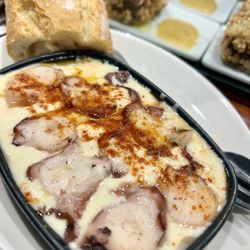 Gaucho - Octopus
