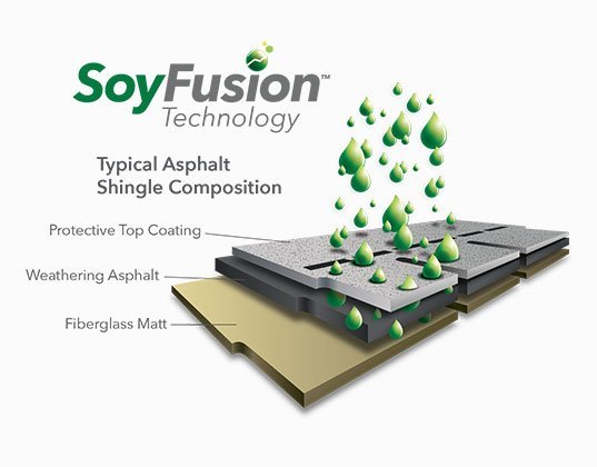 Slide of My Shingle Roof