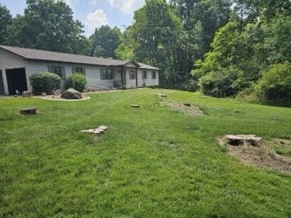 Warbucks Land Clearing & Excavating by null