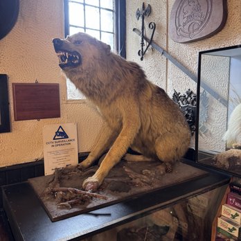 The Drovers Inn - Wolf - Pubs Near Me - Arrochar, AGB The Drovers Inn - Wolf - Pubs Near Me - Arrochar, AGB