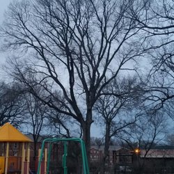 Watkins Park