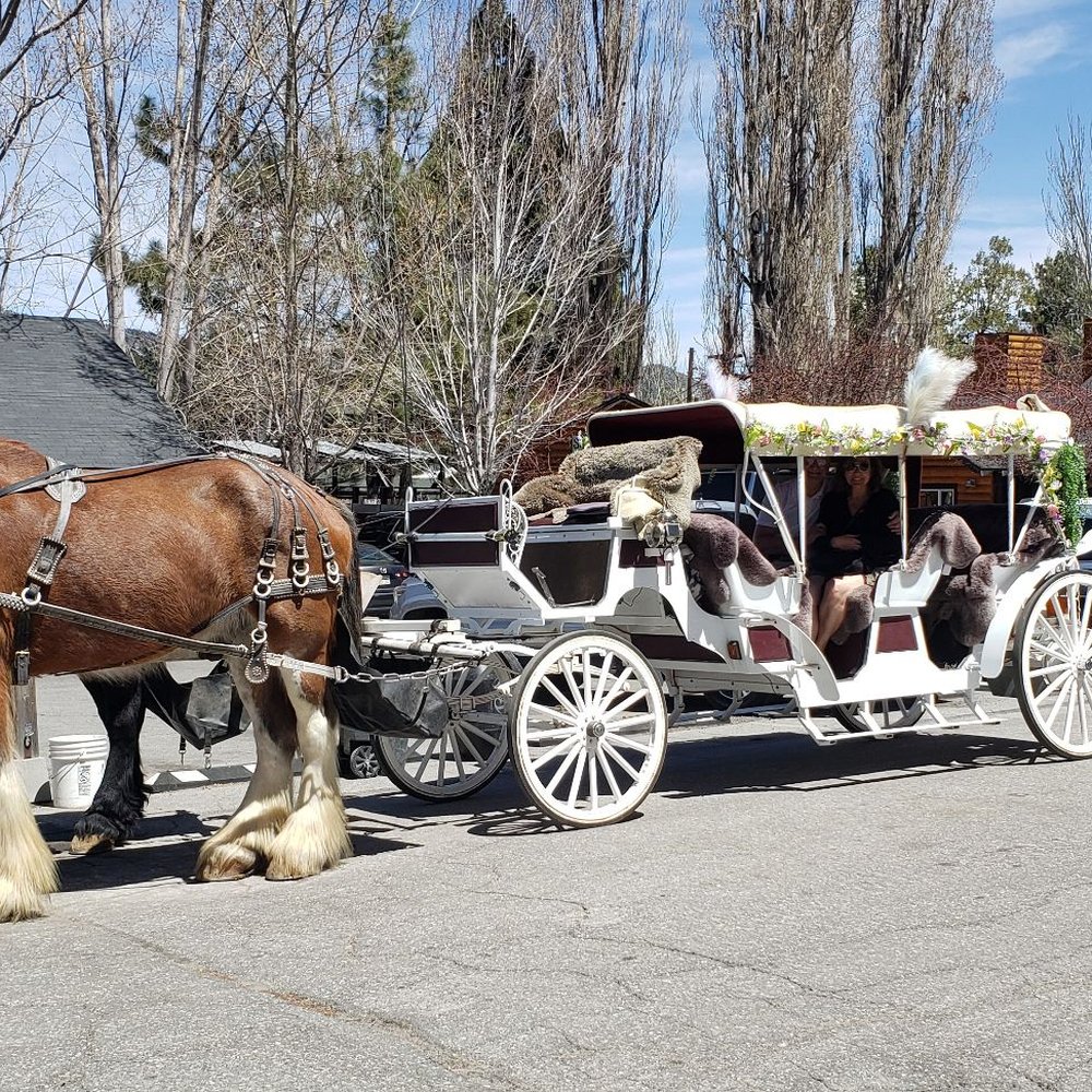 Big Bear Carriages - Event Planning & Services Near Me Big Bear Carriages - Event Planning & Services Near Me