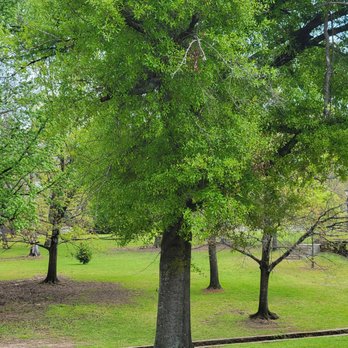 Bergfeld Park - Parks Near Me - Tyler, Texas Bergfeld Park - Parks Near Me - Tyler, Texas