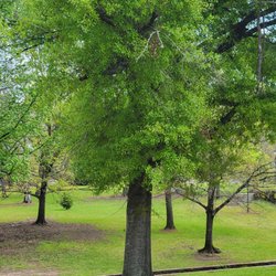 Bergfeld Park