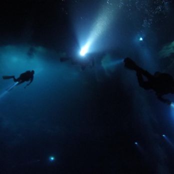 Agua Clara Diving - The Pit - Tours Near Me - Tulum, ROO Agua Clara Diving - The Pit - Tours Near Me - Tulum, ROO