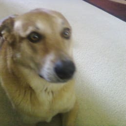 My Timmy cocoa puff My Timmy cocoa puff