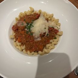 Bolognese Bolognese