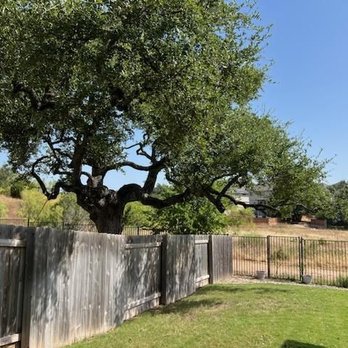 Rooted In Texas Tree Care - Tree Services Near Me - Cedar Park, Texas Rooted In Texas Tree Care - Tree Services Near Me - Cedar Park, Texas