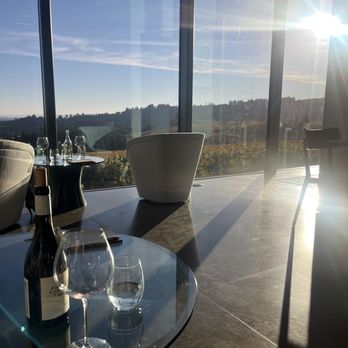 Furioso Vineyards - View from inside - Wine Tasting Room Near Me - Dundee, Oregon