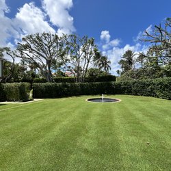 A Better Landscape Service - Tree service