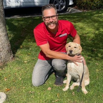 LimitLess Dog Training Temecula - Pet Training Near Me LimitLess Dog Training Temecula - Pet Training Near Me