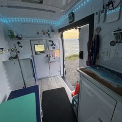 Waves & Shaves Mobile Dog Grooming