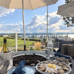 The Cove - Pinot Grigio and Fresh Oysters on The 1/2 Shell