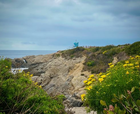 Leo Carrillo State Park by null